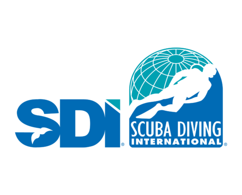 SDI
